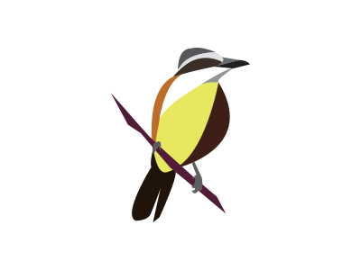 Bird Illustration bird logo
