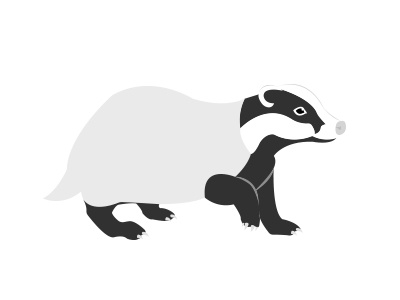 National Badger day illustration animal badger countryside illustration wildlife