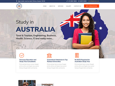 Visa Consultant Website