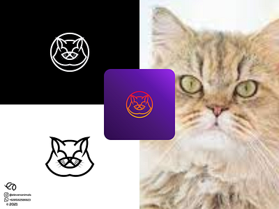 CAT LOGO 3d animal logo animation app branding cat logo colorfull design graphic design illustration logo logo consept logo inspiration logo line motion graphics t shirt logo ui