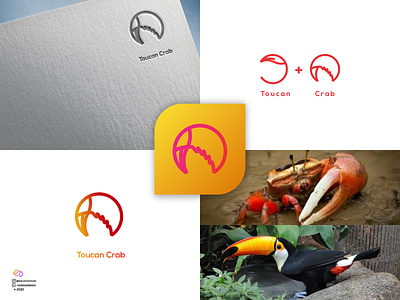 Toucan Crab 3d animal logo animation app branding colorfull design illustration logo ui