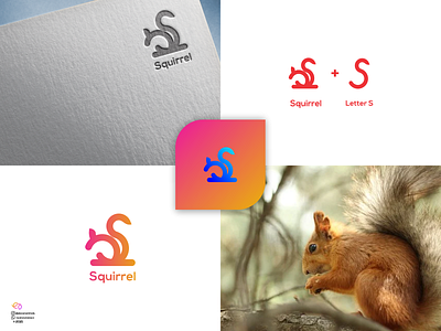 Squirrel 3d animal logo animation app branding colorfull design graphic design illustration letter logo logo motion graphics ui