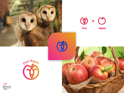 Owl Apple 3d animal logo animation app branding colorfull design illustration logo ui