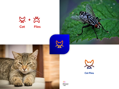 Cat Flies 3d animal logo animation app branding colorfull design graphic design illustration logo motion graphics ui