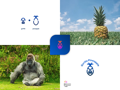 gorilla pineapple 2d 3d animal logo animation app branding colorfull design graphic design illustration logo motion graphics ui