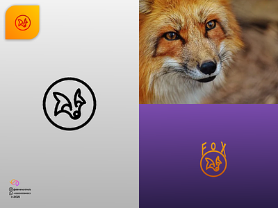 FoX 2d 3d animal logo animation app branding colorfull design graphic design illustration logo motion graphics ui