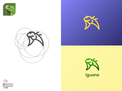 Iguana 3d animal logo animation app branding colorfull design illustration logo ui wildlife