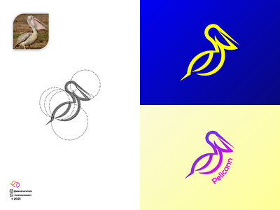 Pelican 3d animal logo animation app branding colorfull design graphic design illustration logo motion graphics ui wildlife