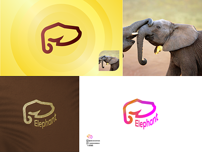 Elephant 3d animal logo animation app branding colorfull design graphic design illustration logo mammal motion graphics ui