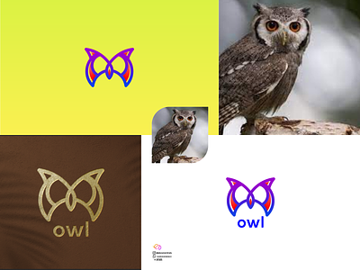 owl 3d animal logo animation app branding colorfull design graphic graphic design illustration logo motion graphics ui