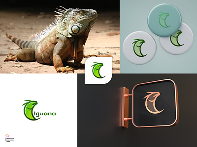 Iguana 3d animal logo animation app art branding colorfull design illustration logo ui