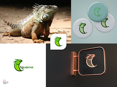 Iguana