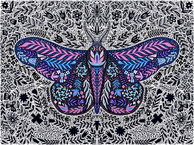 Moth creative decoration design elegant floral flower illustration insect moth nature night ornament procreate wings