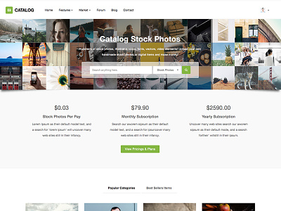 Catalog Stock Photo Marketplace - In Progress app showcase bootstrap html5 marketplace photo showcase stock photo website showcase