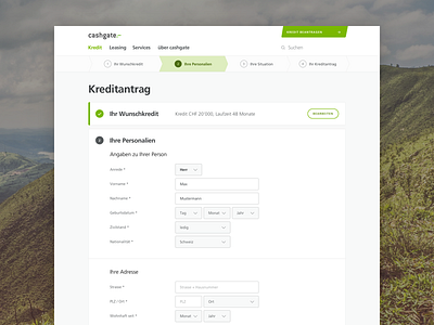 Cashgate Credit Application: Summary of Credit, Form application cashgate credit form leasing summary webapp