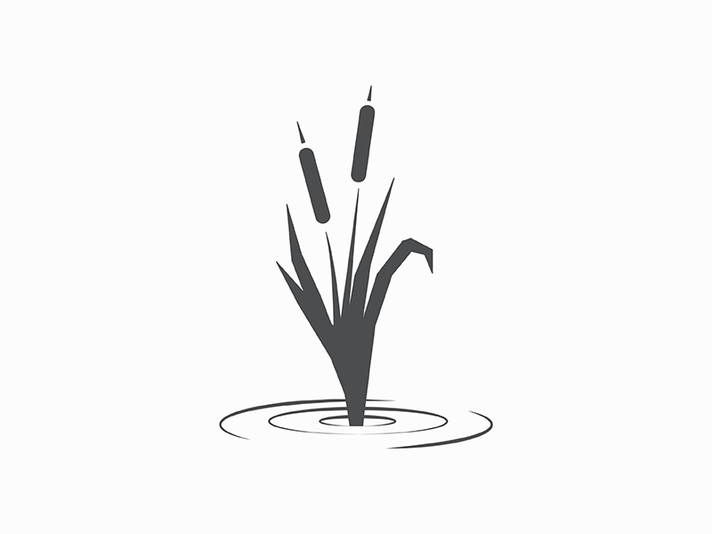 Cattails by Jason Jones on Dribbble