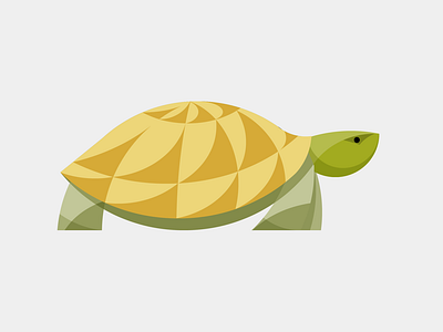 Geometric Turtle