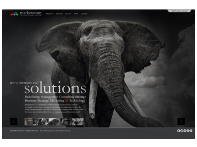 Marketorum Homepage and animals black full homepage screen website white