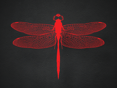 Dragonfly dragonfly red vector