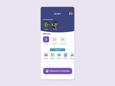 "Vetify" Vet Web App - prototype app design figma illustration mobile mock up mockup prototype ui ux