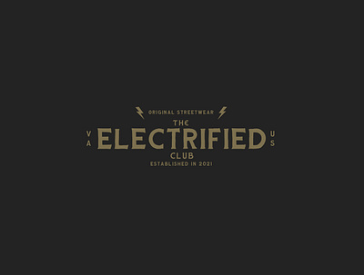 THE ELECTRIFIED CLUB branding design graphic design identity logo typography vector