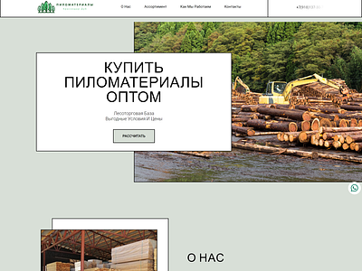 landing for Timber trading base Krasnodar graphic design ui