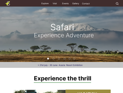 Safari Website Landing Page UI design figma ui ux