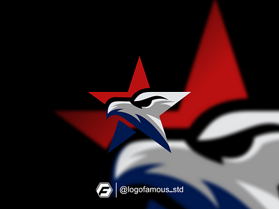 Star Eagle Logo Design Idea