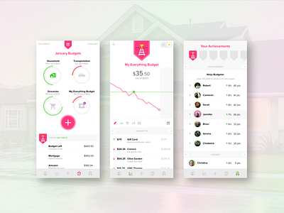 Budget App Concept