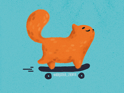 Skater cat