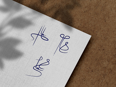 Signature design for MR. Shayegan branding design graphic design logo personal signature