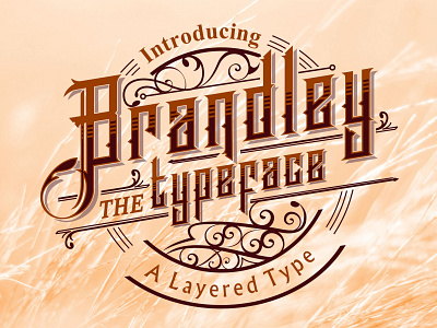 Brandley branding design font fontstyle graphic design logo poster type typeface typography vitage