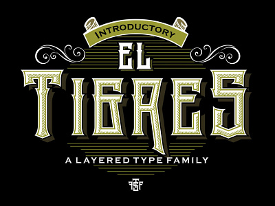 El Tigres Type branding design font fontstyle graphic design layertype logo poster type typeface typography vintage