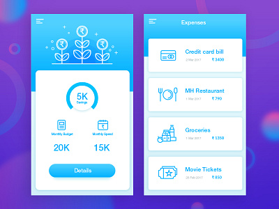 Monthly Budget Organizer App Screens
