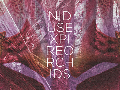 Orchids album art bands design music nidus expire orchids