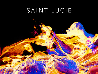 Lucie. album art art branding design identity logo music painting