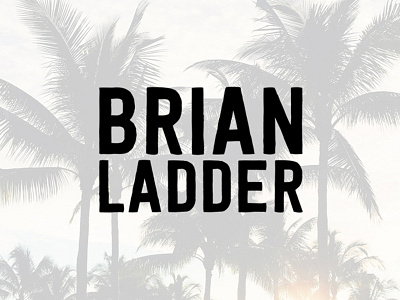 B.Ladder branding brands brian ladder identity logo mark miami photographer photography