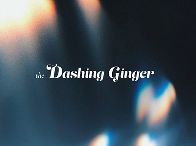 The Dashing Ginger Rebrand branding creative design design designer graphic design illustration logo puerto rico small business tampa