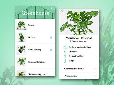 Greenhouse App Concept app clean design green greenhouse interface jungle plant product simple ui ux