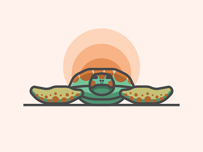 Sea Turtle