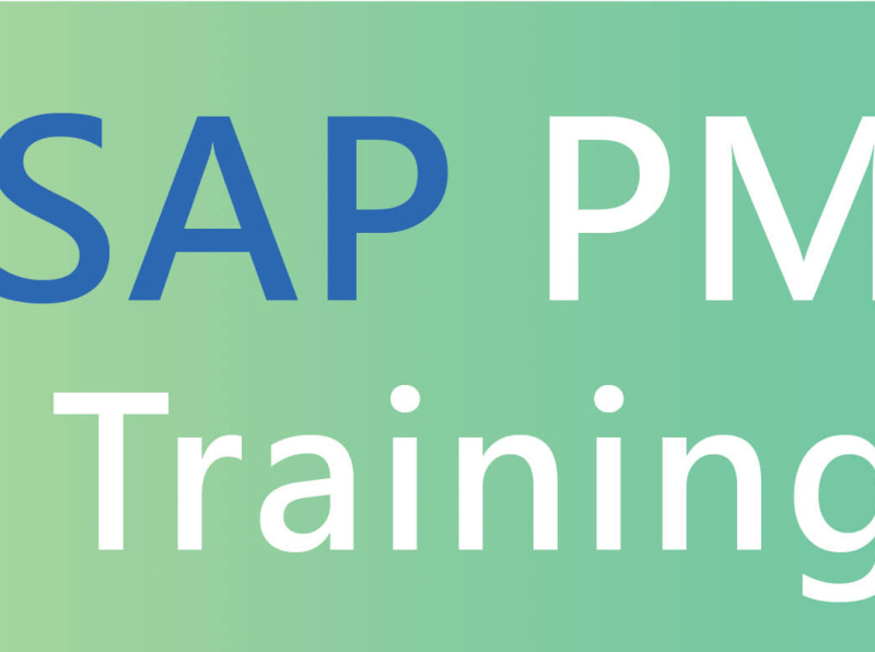 Best SAP PM Online Training Course by M raja on Dribbble