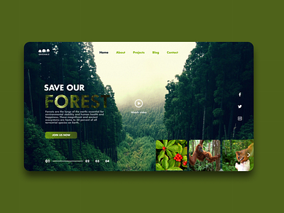 Forest Project Landing page