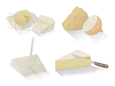 Cheese Illustrations