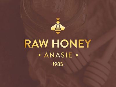 Anasie Raw Honey Logo