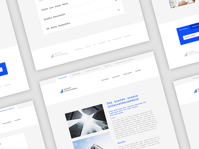 Dinsob Consulting clean design interface minimal ui website