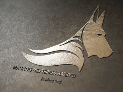 Malinois des Terres Harry'd animals dog graphic logo mark