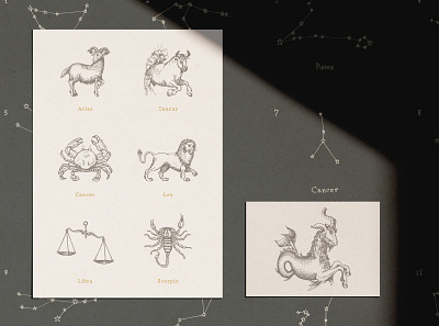 Zodiac signs and constellations drawn