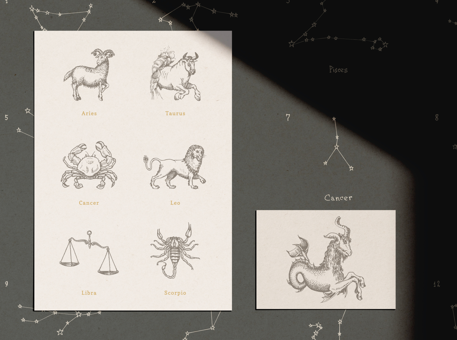 Zodiac signs and constellations by Chewie on Dribbble