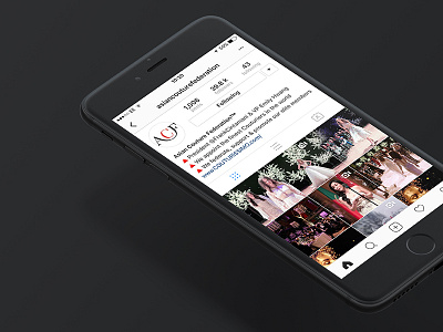 ACF Behance Case Study