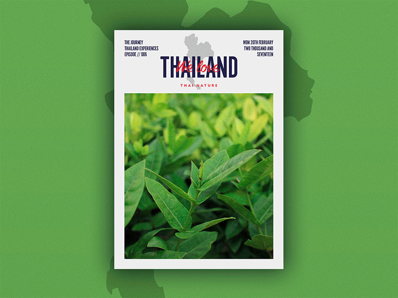 We love Thailand Series animation branding gif layout design photography poster series print thailand
